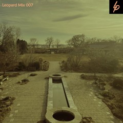 Leopard Mix 007