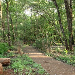 10.07.2022 - DOMINGO - CAP. V - BEM AVENTURADOS OS AFLITOS - Causas Atuais das Aflições