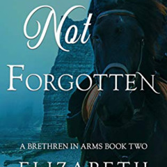 download EBOOK 💕 Not Forgotten (Brethren in Arms Book 2) by  Elizabeth Johns EPUB KI