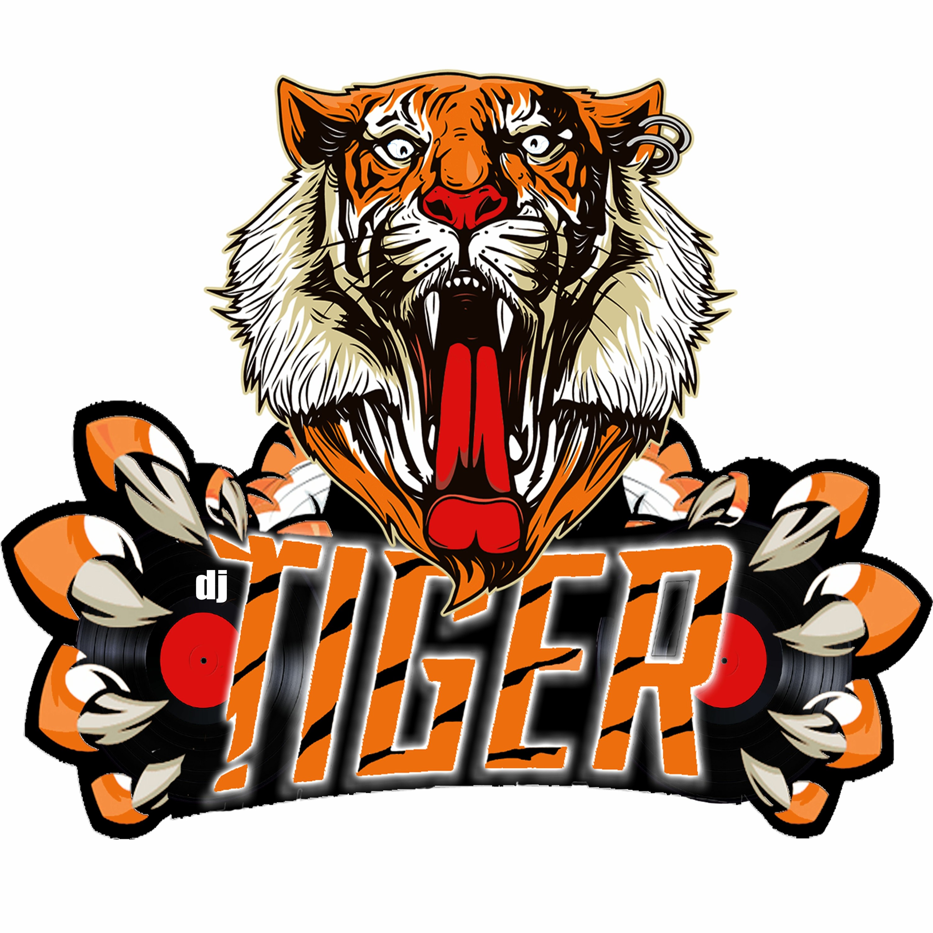 Dj Tiger