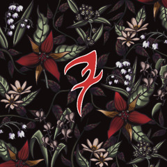 Reflection in the void