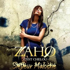 Stefleur Maloche - C'est Chelou (Remix 2k20)