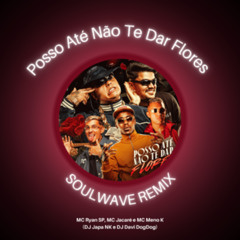 Posso Até Não Te Dar Flores - Mc Ryan Sp, DJ Japa NK, Mc Jacaré, MC Meno  (Soulwave Remix)