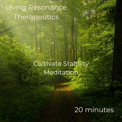 Stability Meditation