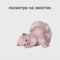 BadTrip Boys - Дурацкая
