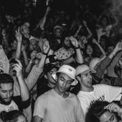 High Energy Jungle Set (Sofasurfs #6)