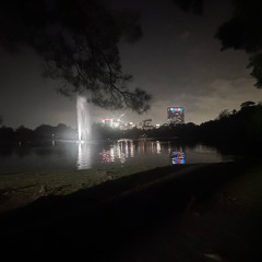 Summer nights