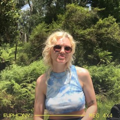 Euphony 038 Meg 4x4