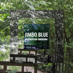 Destination Unknown - DEMO