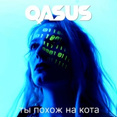 Qasus - Ты Похож На Кота (zhanulka)