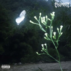 $INNIN☠️(prod. klimlords x lvnar01)