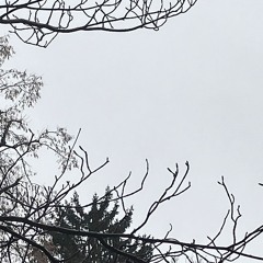 (keine)Sonn(en)tag(e)imWinter #1