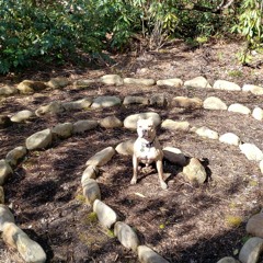 Full Send Stitch (KleptiCraze & Euro)