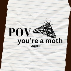 POV: You're a moth