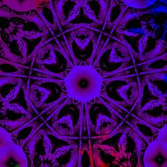 Reading of João Zorro's- Sabor Hei da Rebeira (Music Journal 27/04/25)