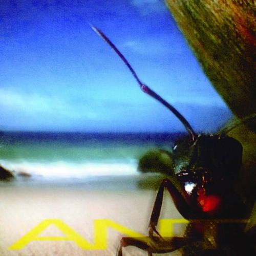Europe (feat. Pittkiid)