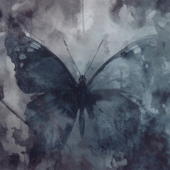 The Butterfly