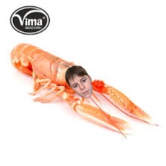 Scampi Champion