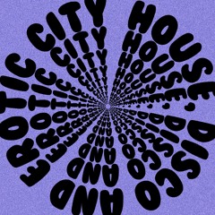 House, Disco And Erotic City # 4
