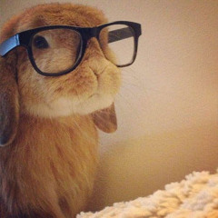 NERD