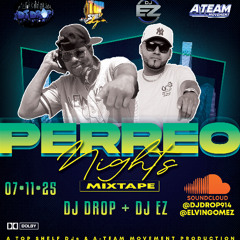 PERREO NIGHTS - DJ EZ/DJ DROP