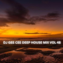 DEEP HOUSE MIX VOL 48