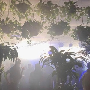 ani/live Five: DJ Voices @ Nowadays Nonstop