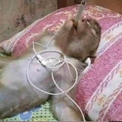 Now playing: all time favorites 7