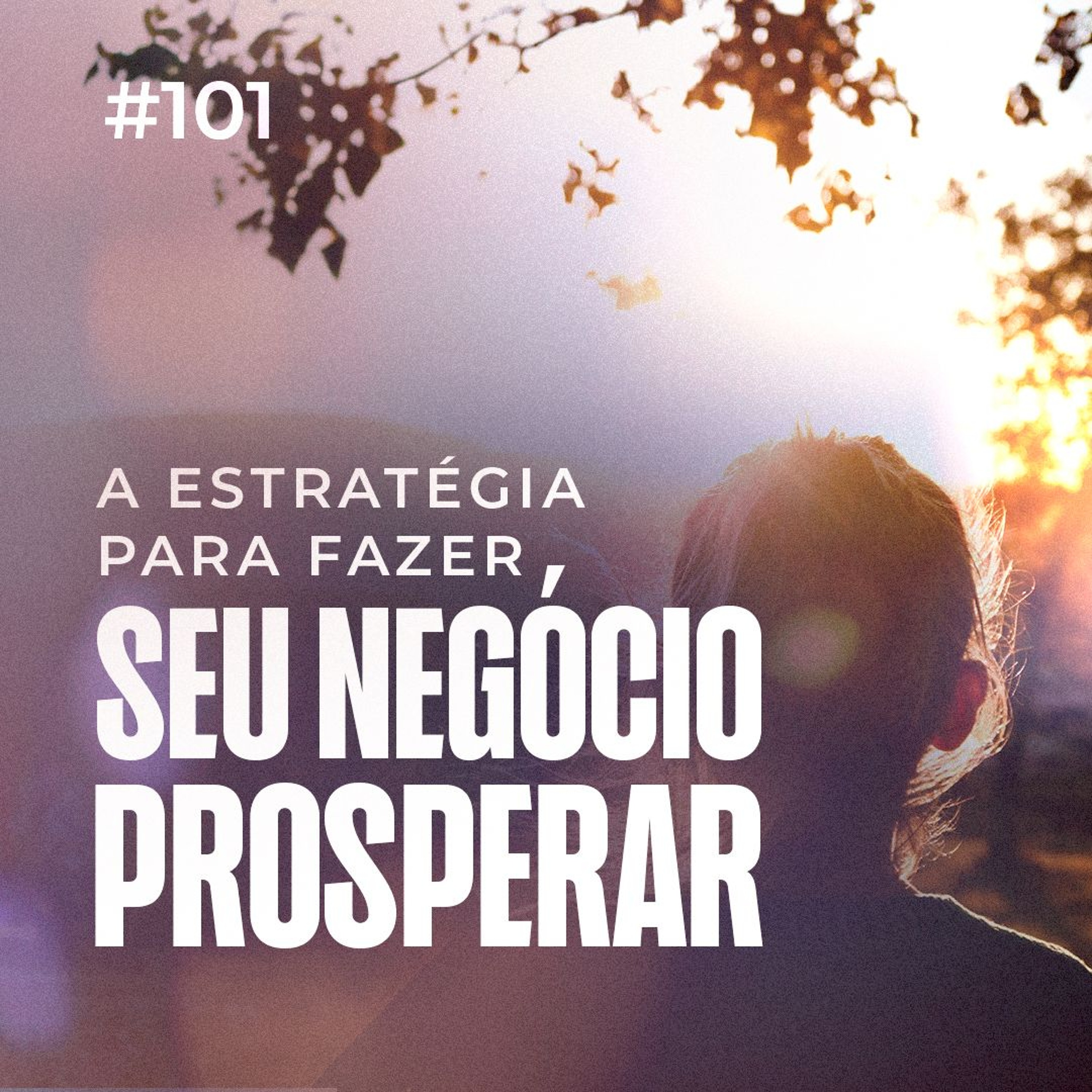 Dirce Carvalho