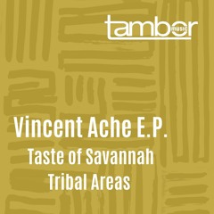 Vincent Ache - Tribal Areas  (Original Mix)