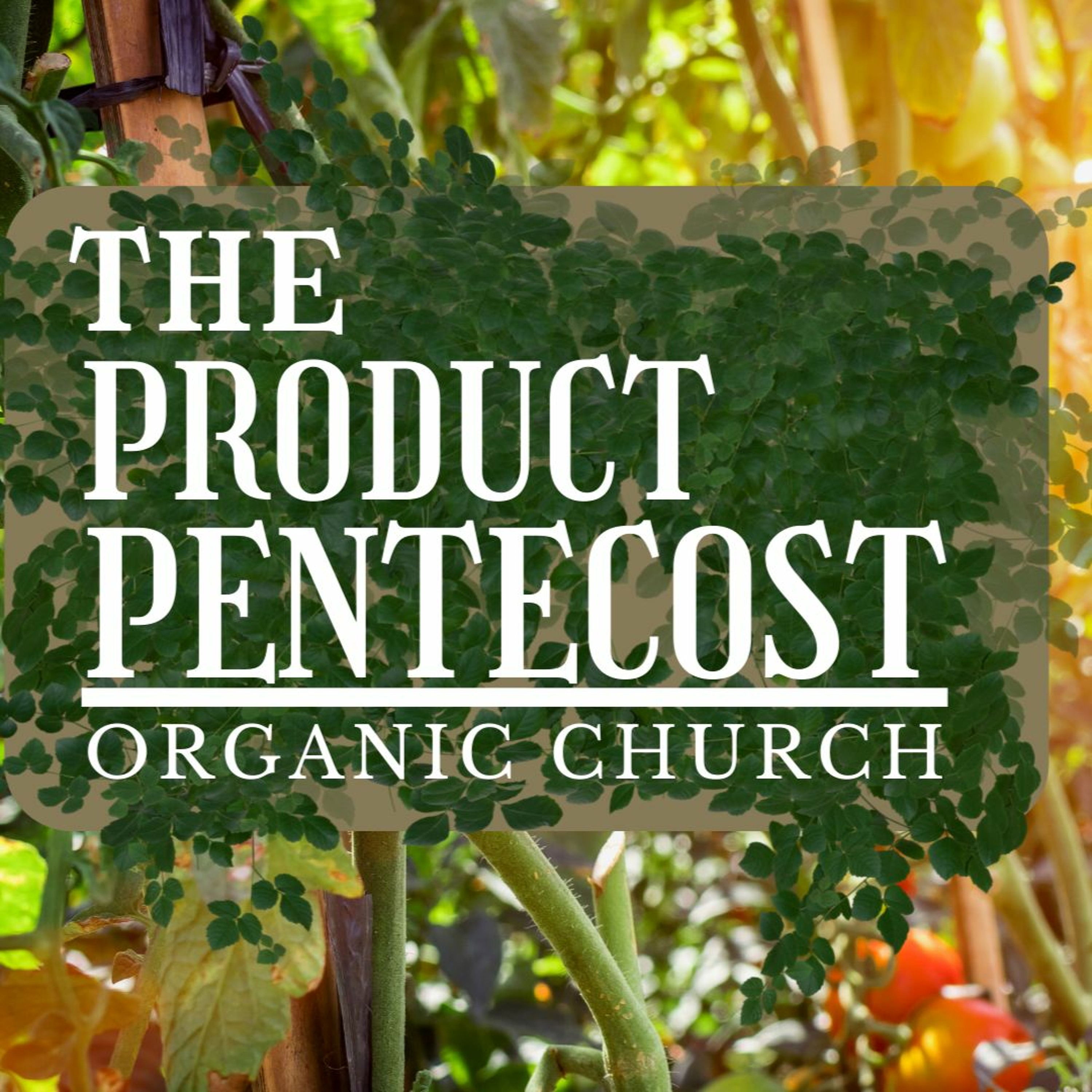 The Product of Pentecost (Organic Church) episode artwork