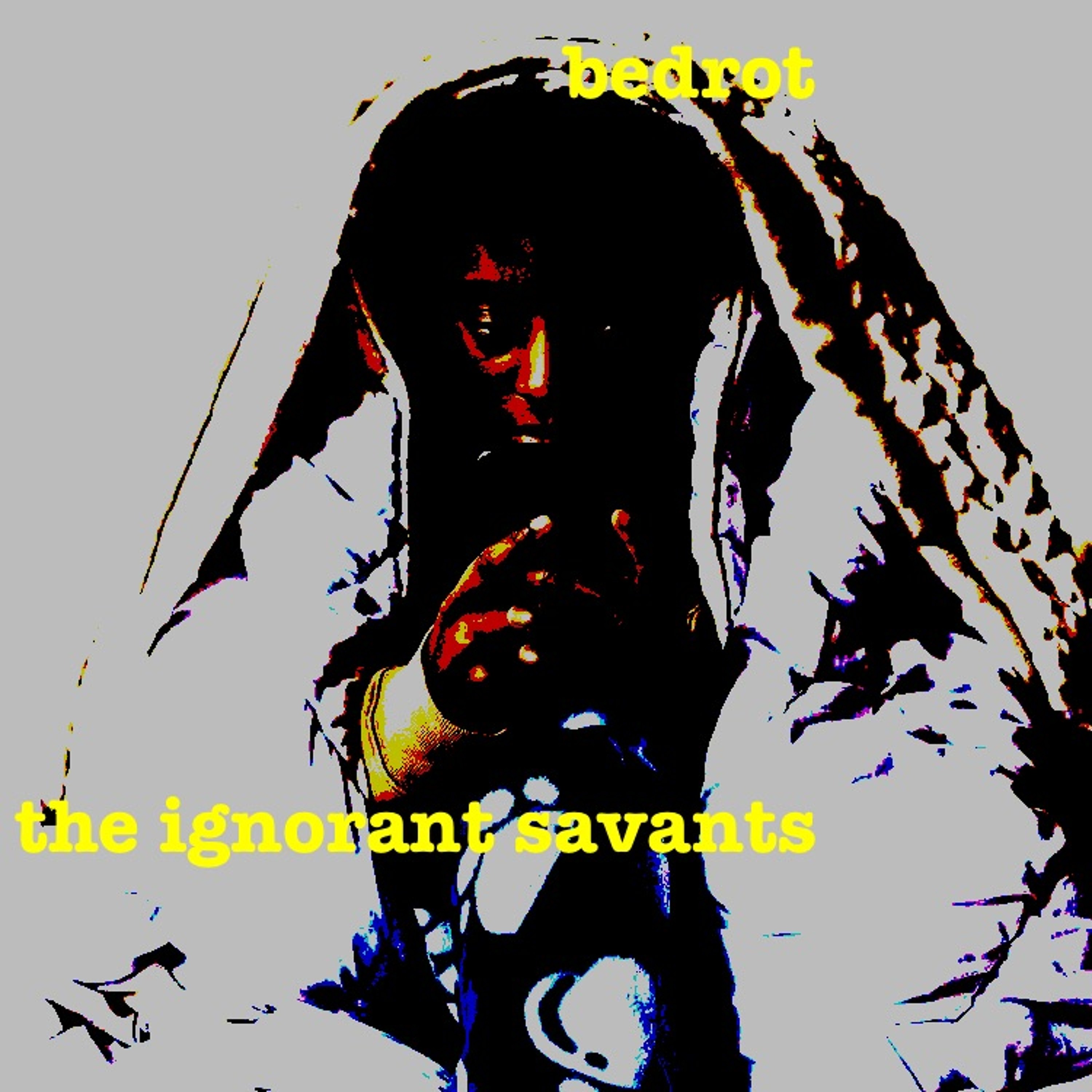 the ignorant savants