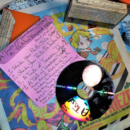 Shake Your Pants(The FunkeN:Cassette KutT)