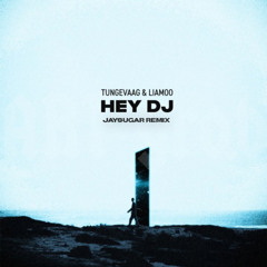 Tungevaag, Liamoo - Hey DJ (Jaysugar Remix)