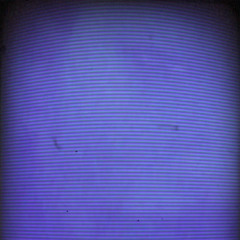 Back in my bag(Rough Draft)