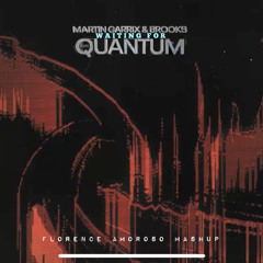 Martin Garrix & Brooks vs Avicii - Waiting For Quantum ( Florence Amoroso Mashup ).mp3