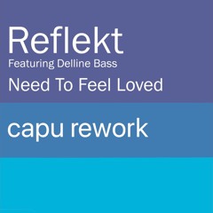 Need To Feel Loved (capu rework)