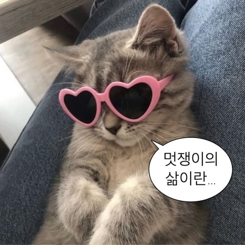 간만에 나온 따끈따끈한 (Waacking MXTP)