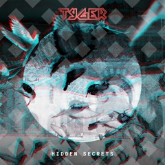 TYGER - Hidden Secrets