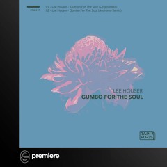 Premiere: Lee Houser - Gumbo for the Soul (Andromo Remix) - Rainforest Music