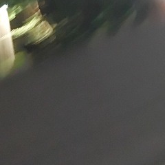 설렘