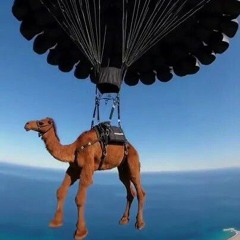 гаити (prod.by steth)