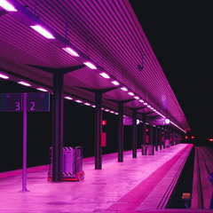 L a s t____T r a i n____H o m e