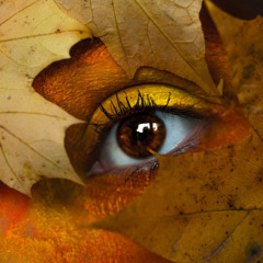 Final Beat Version 2025@Autumn Dream