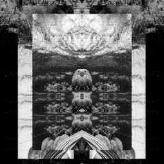 LIDVALL - What Is The Stupid [SOMA SELECTS Premiere]