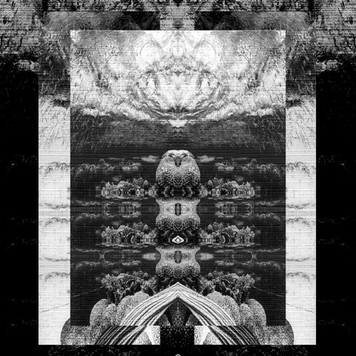 LIDVALL - What Is The Stupid [SOMA SELECTS Premiere]