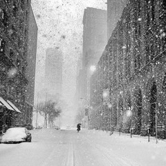 NEW YORK SNOW (EDIT)
