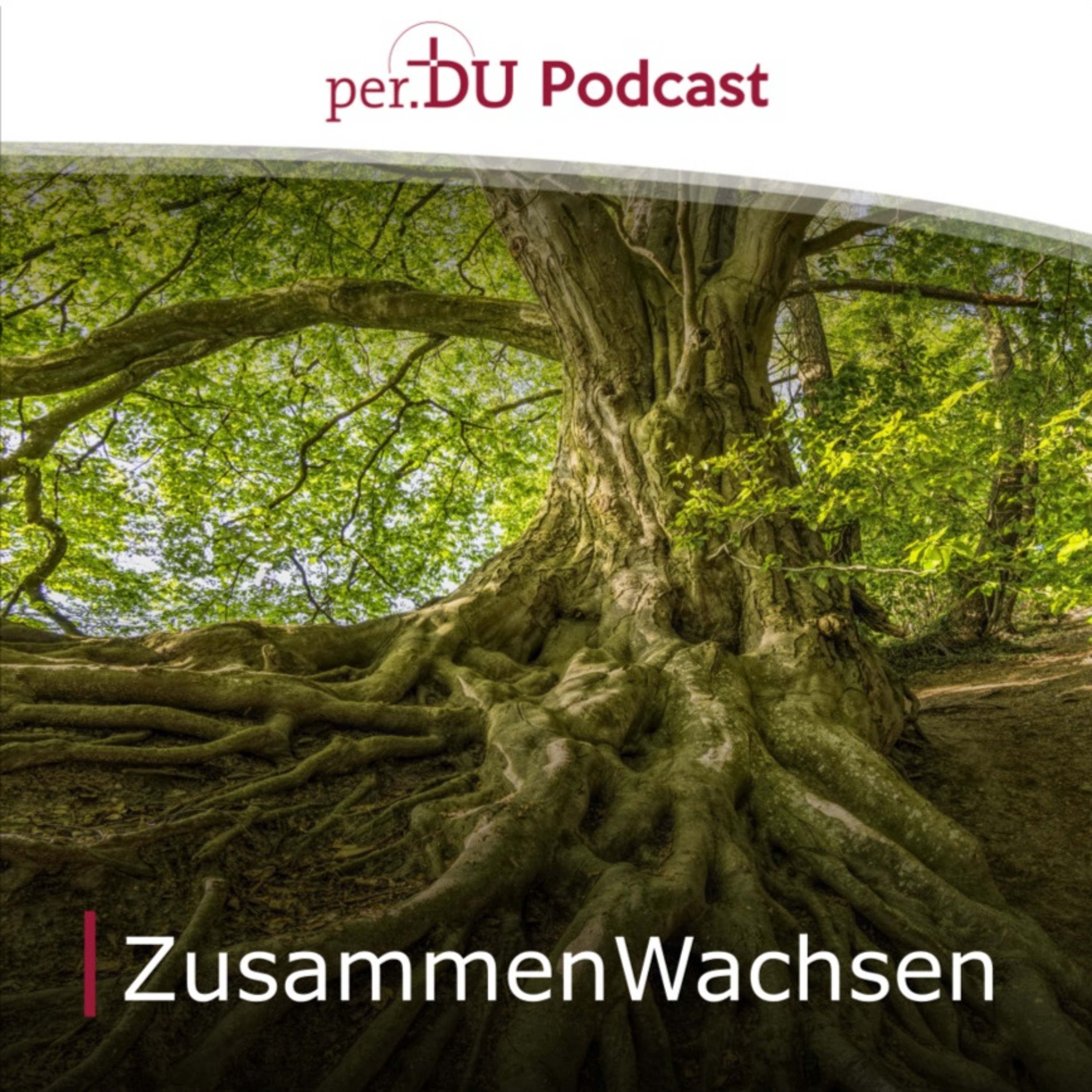 ZusammenWachsen IX - Gemeinsam stark bleiben - Timo Herrmann episode artwork