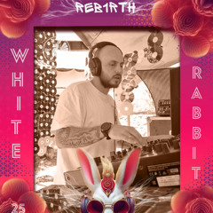 REB1RTH - Keeping it rolling