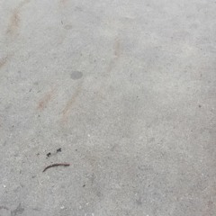 Popped Balloons (Pop Songs)